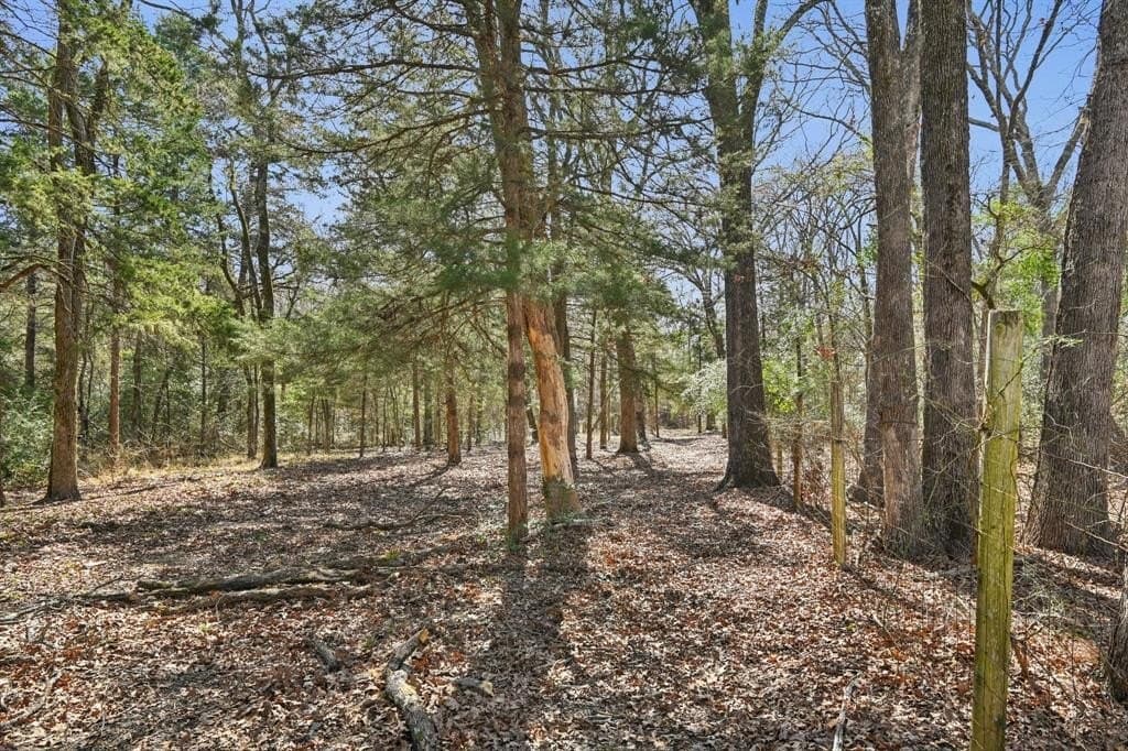 27.91 acres in Rains County - photo 28