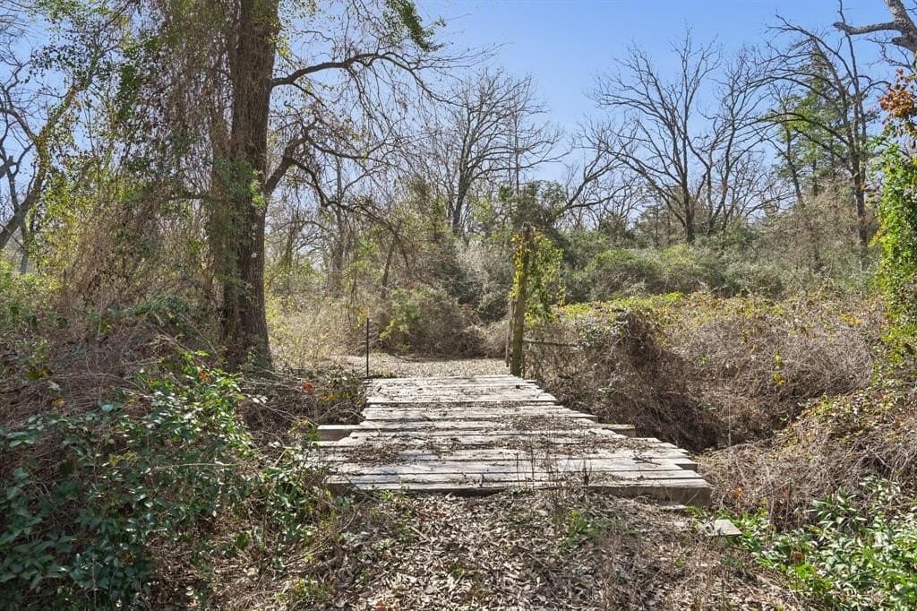 27.91 acres in Rains County - photo 26
