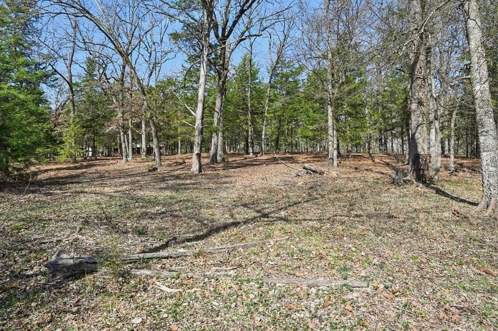 27.91 acres in Rains County - photo 19