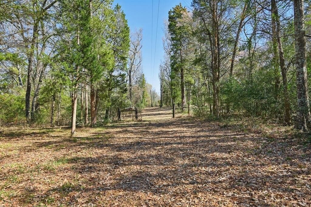 27.91 acres in Rains County - photo 23
