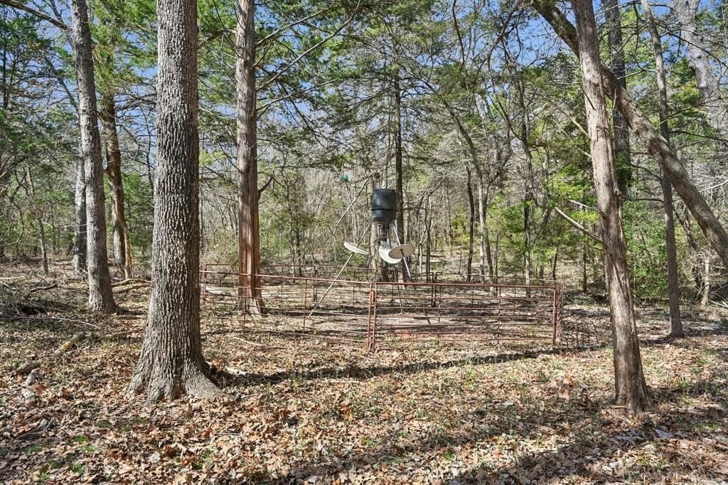 27.91 acres in Rains County - photo 21