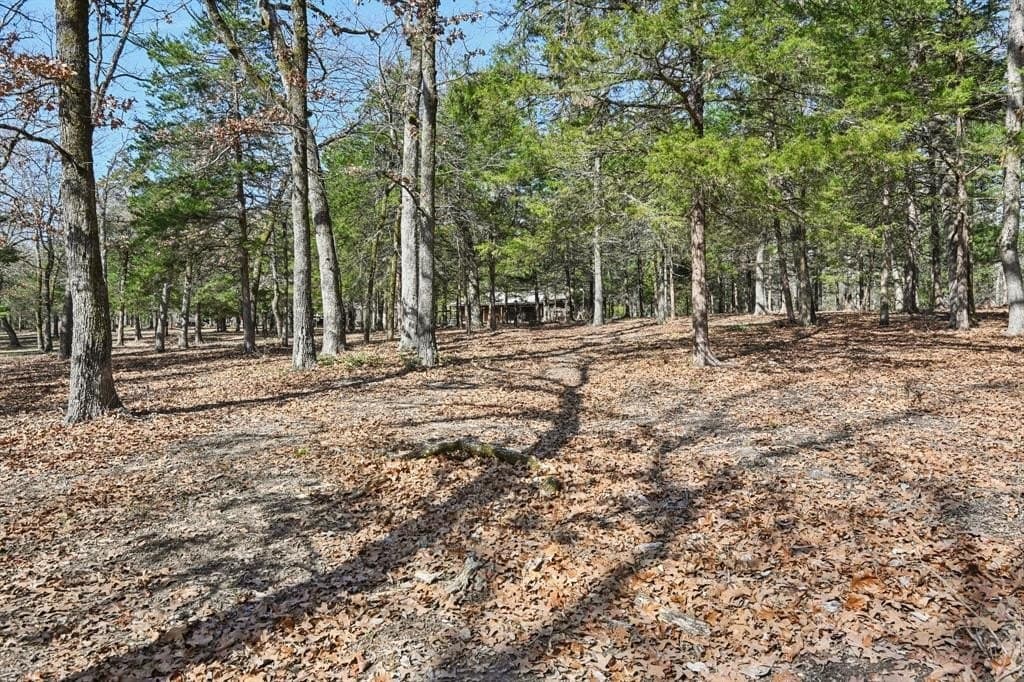 27.91 acres in Rains County - photo 18