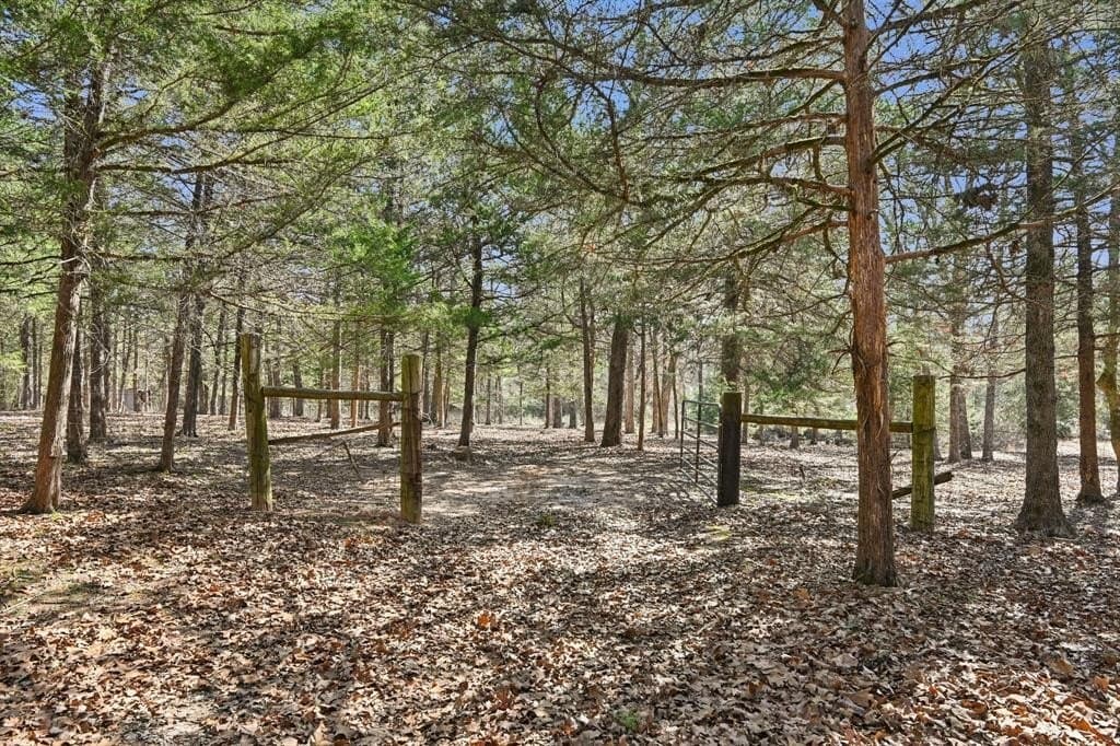 27.91 acres in Rains County - photo 24