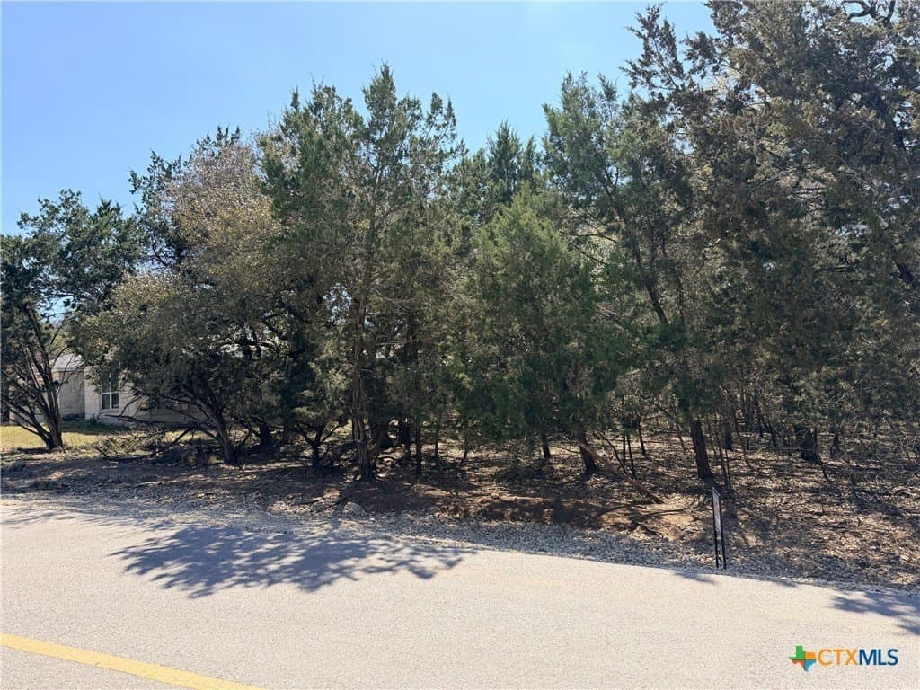 0.27 acres in Travis County - photo 6