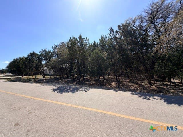 0.27 acres in Travis County - photo 3