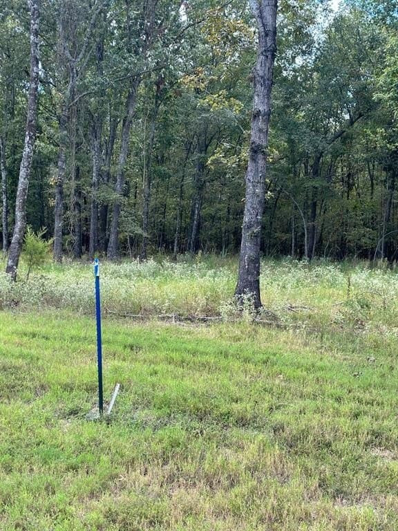 1.01 acres in Wood County - photo 11