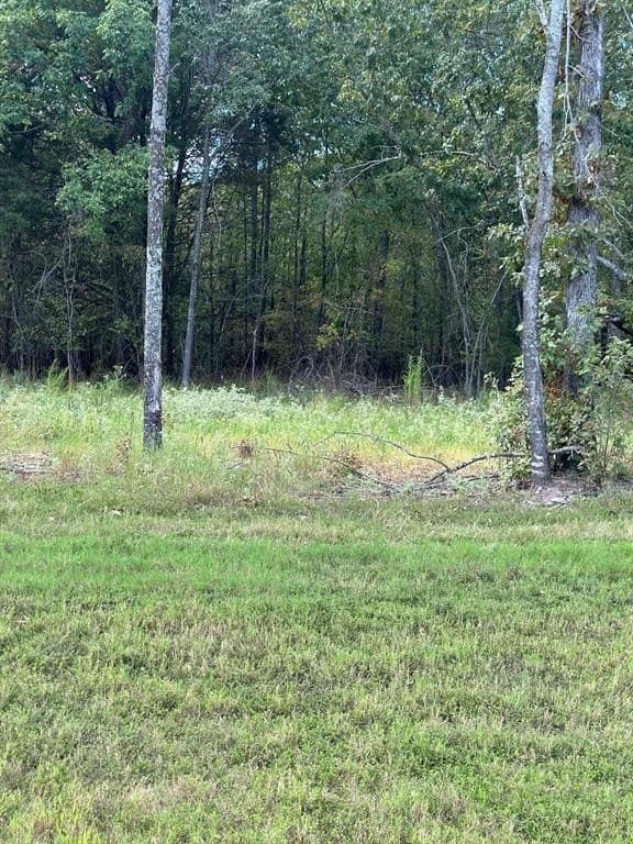 1.01 acres in Wood County - photo 12