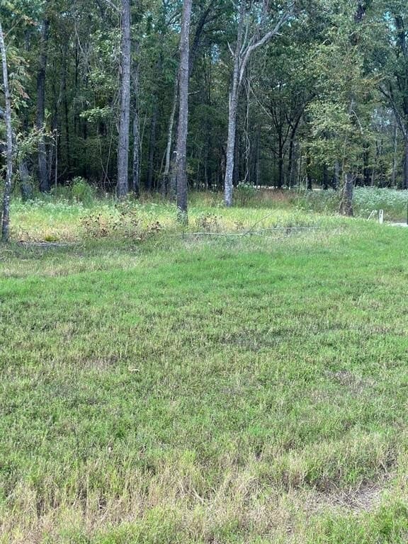 1.01 acres in Wood County - photo 10