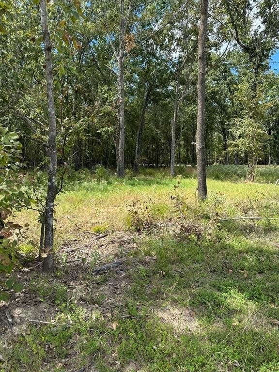 1.01 acres in Wood County - photo 9