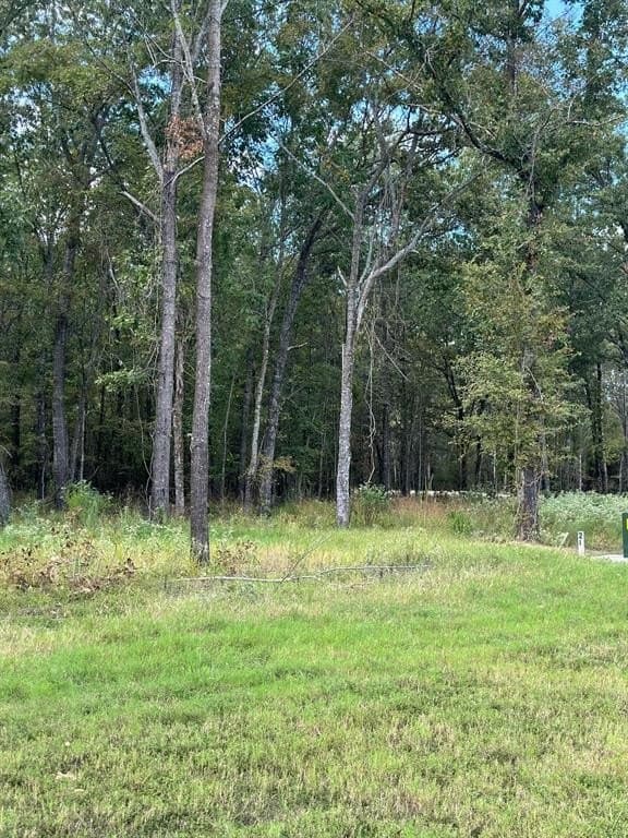 1.01 acres in Wood County - photo 7