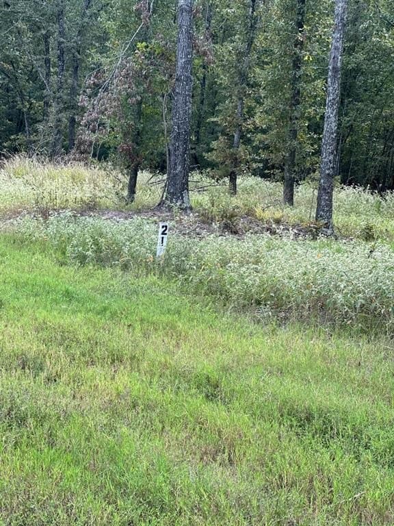 1.01 acres in Wood County - photo 6