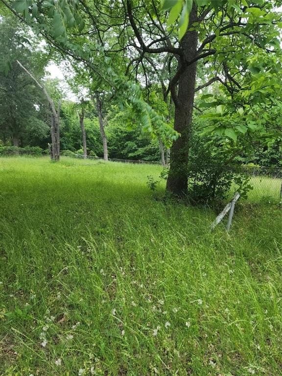 0.37 acres in Henderson County - photo 3