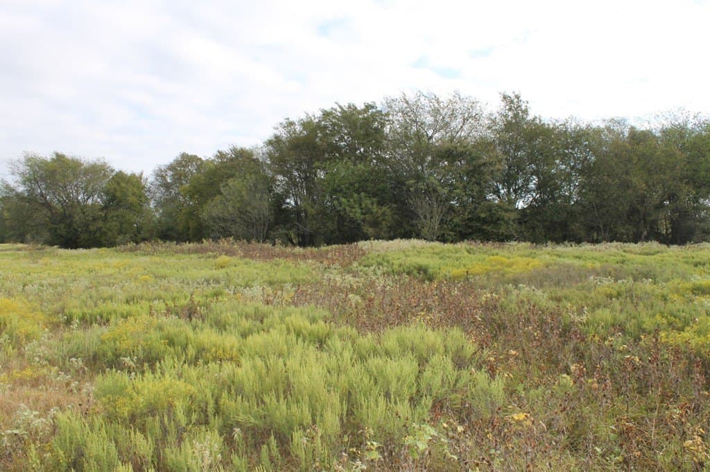 82.68 acres in Van Zandt County - photo 6