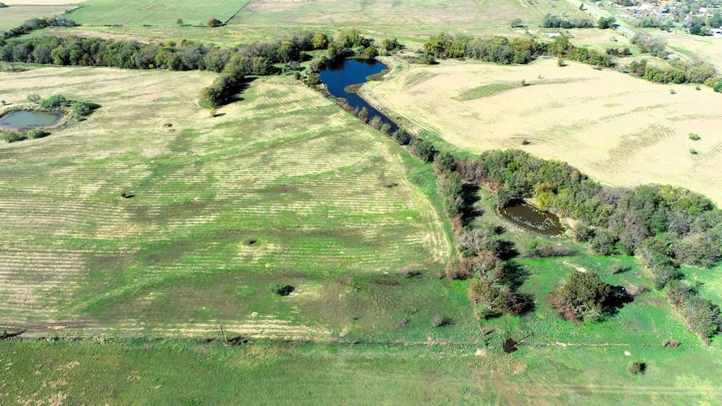 82.68 acres in Van Zandt County - photo 15