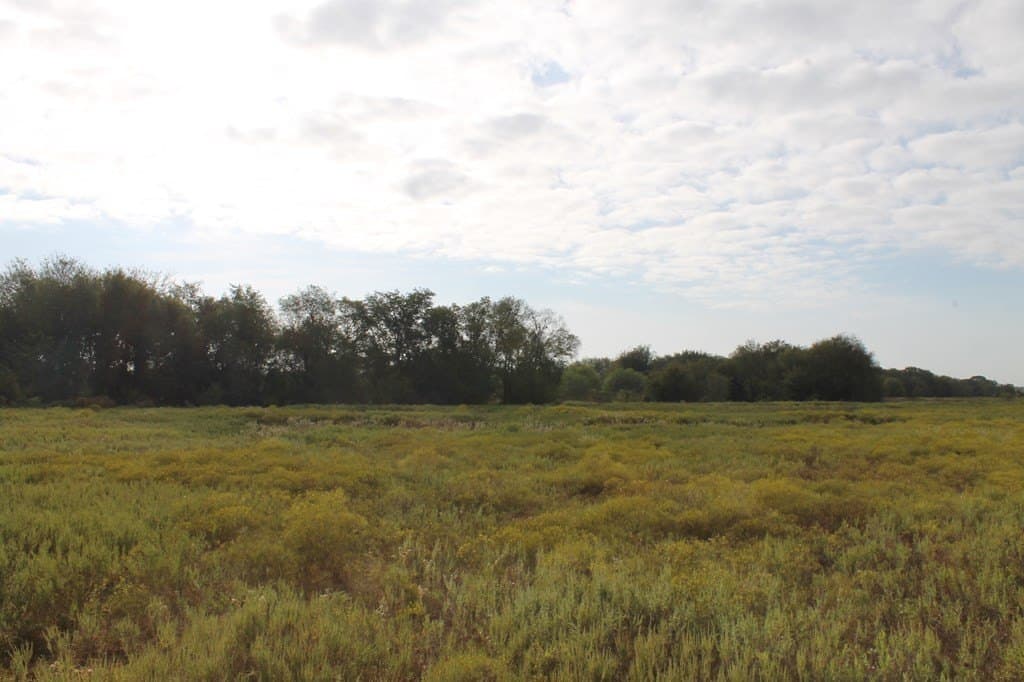 82.68 acres in Van Zandt County - photo 9