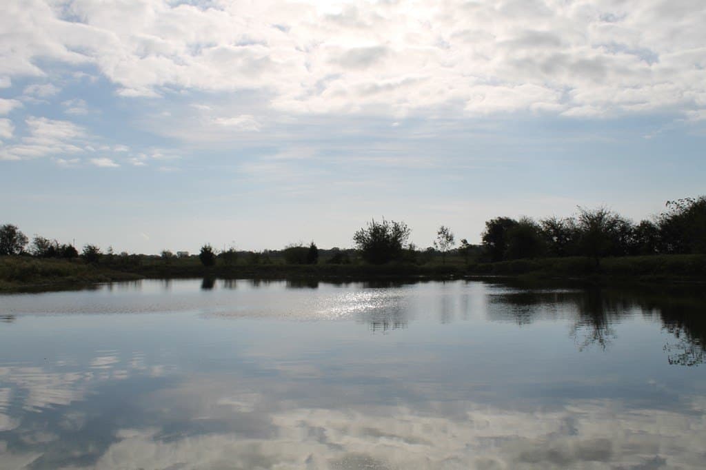82.68 acres in Van Zandt County - photo 4