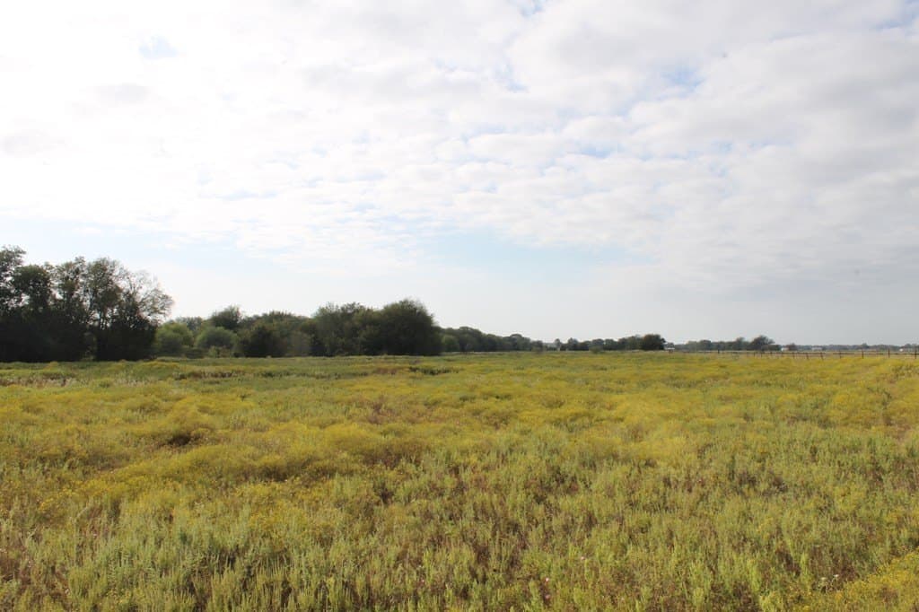 82.68 acres in Van Zandt County - photo 10