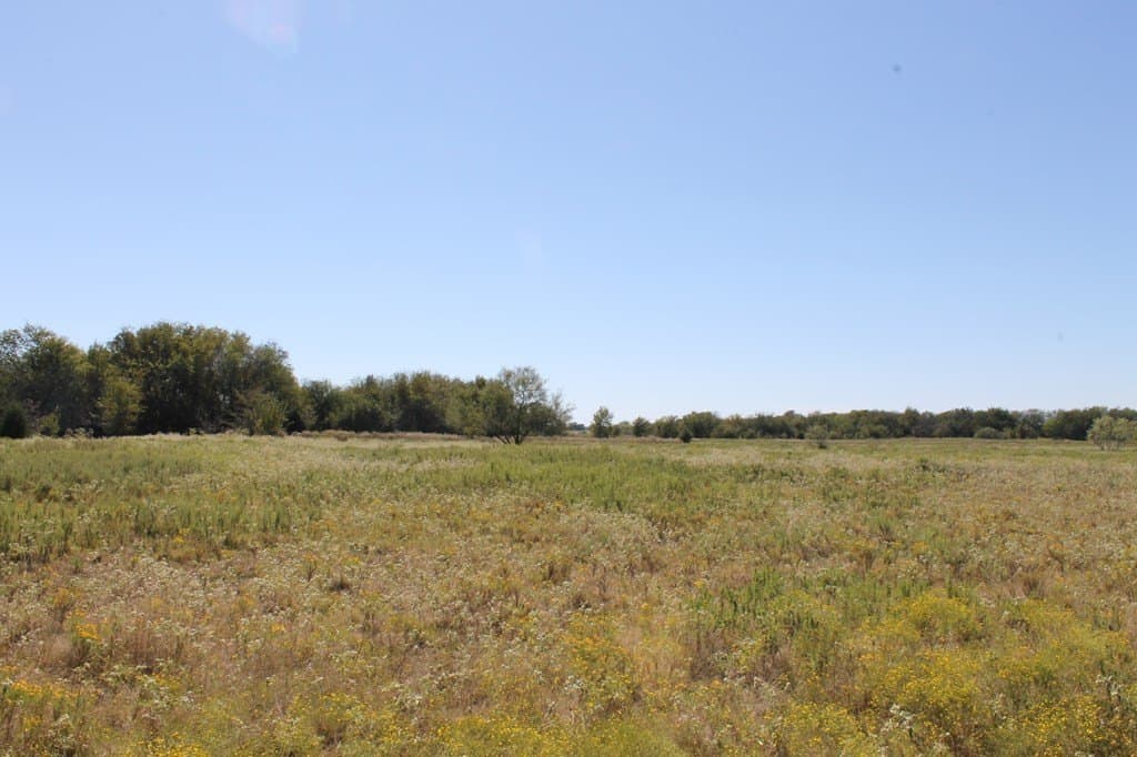 82.68 acres in Van Zandt County - photo 3