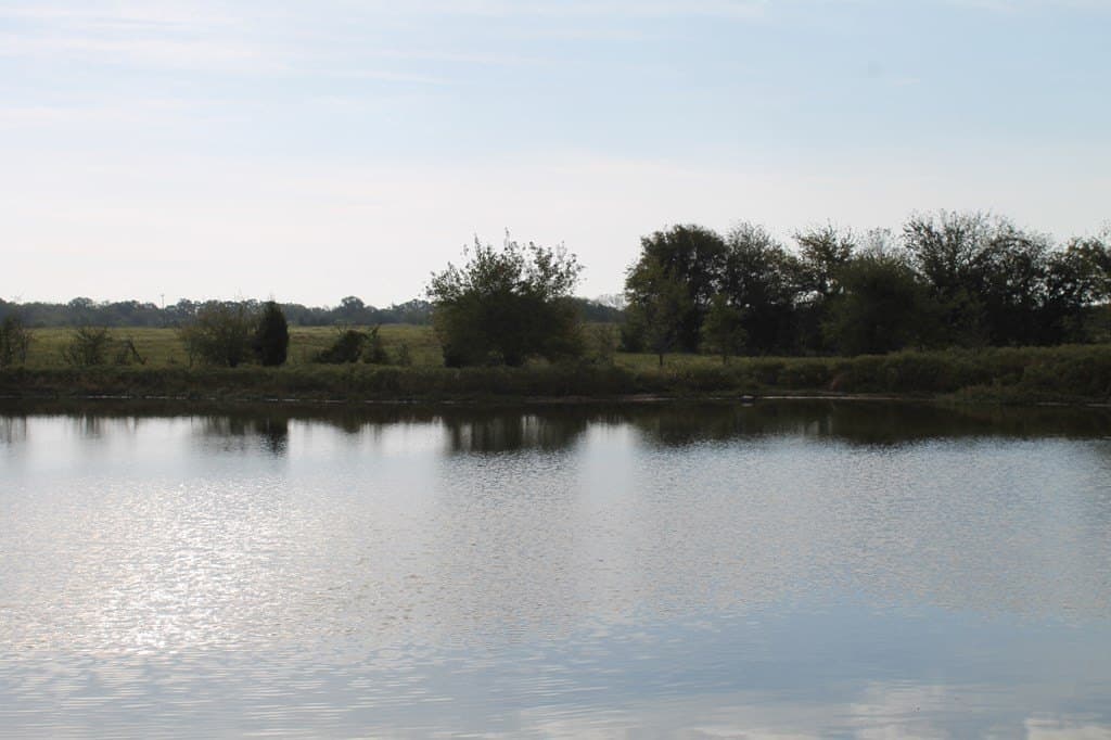 82.68 acres in Van Zandt County - photo 11