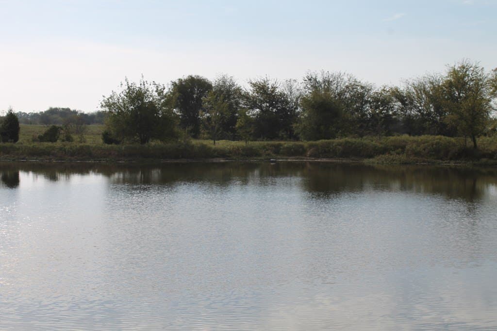 82.68 acres in Van Zandt County - photo 8