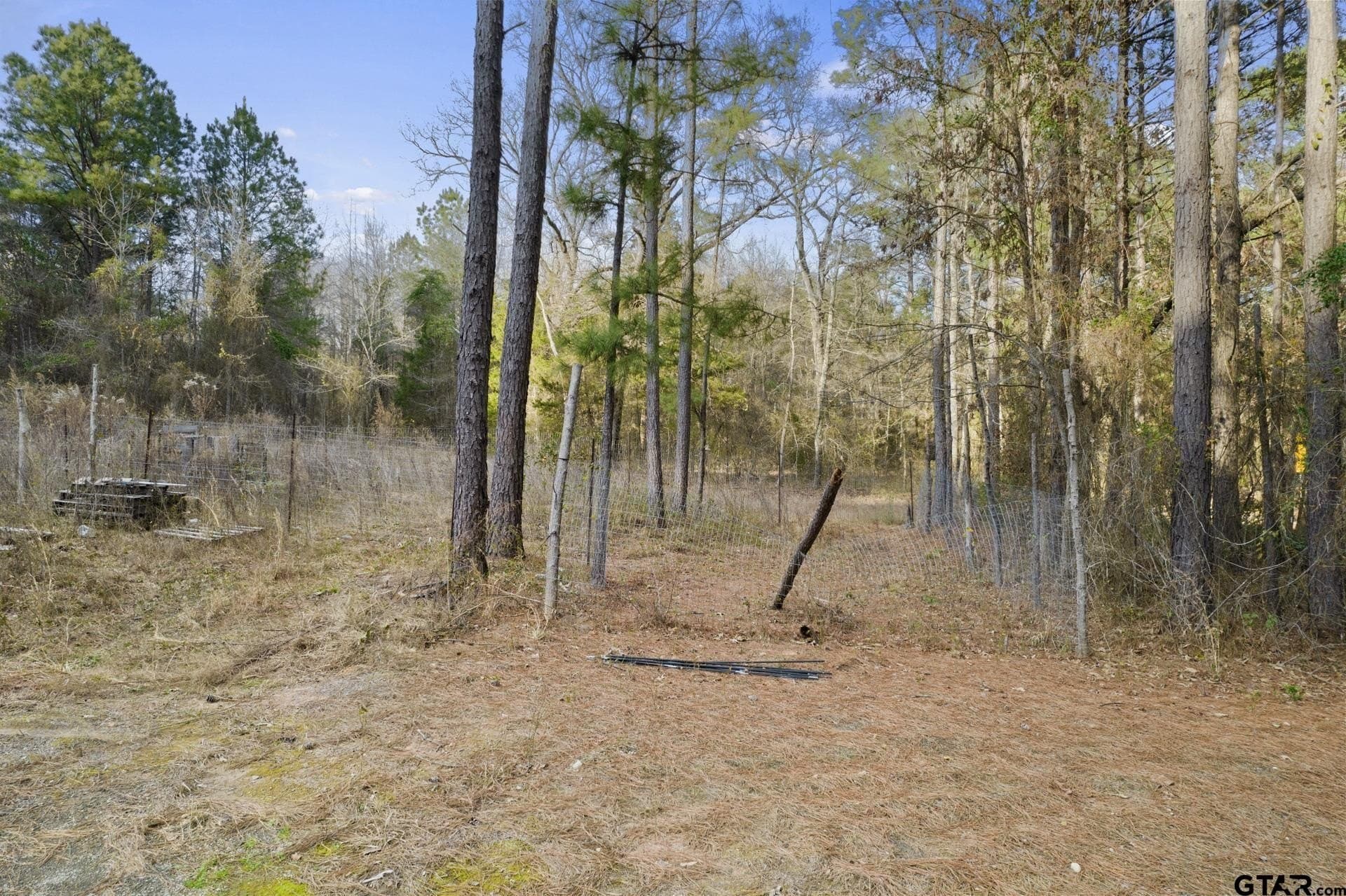 10.16 acres in Cass County - photo 4