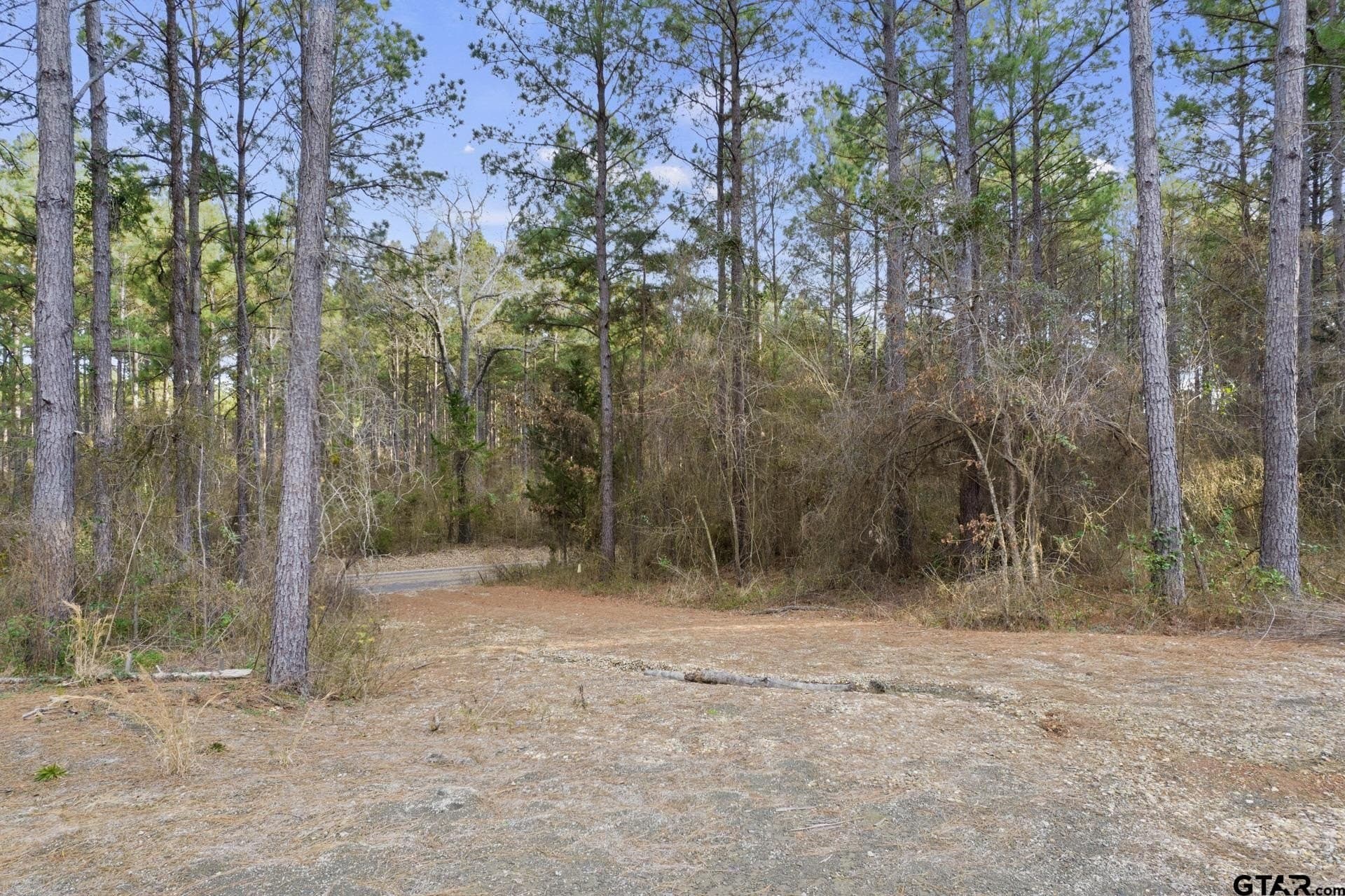 10.16 acres in Cass County - photo 2