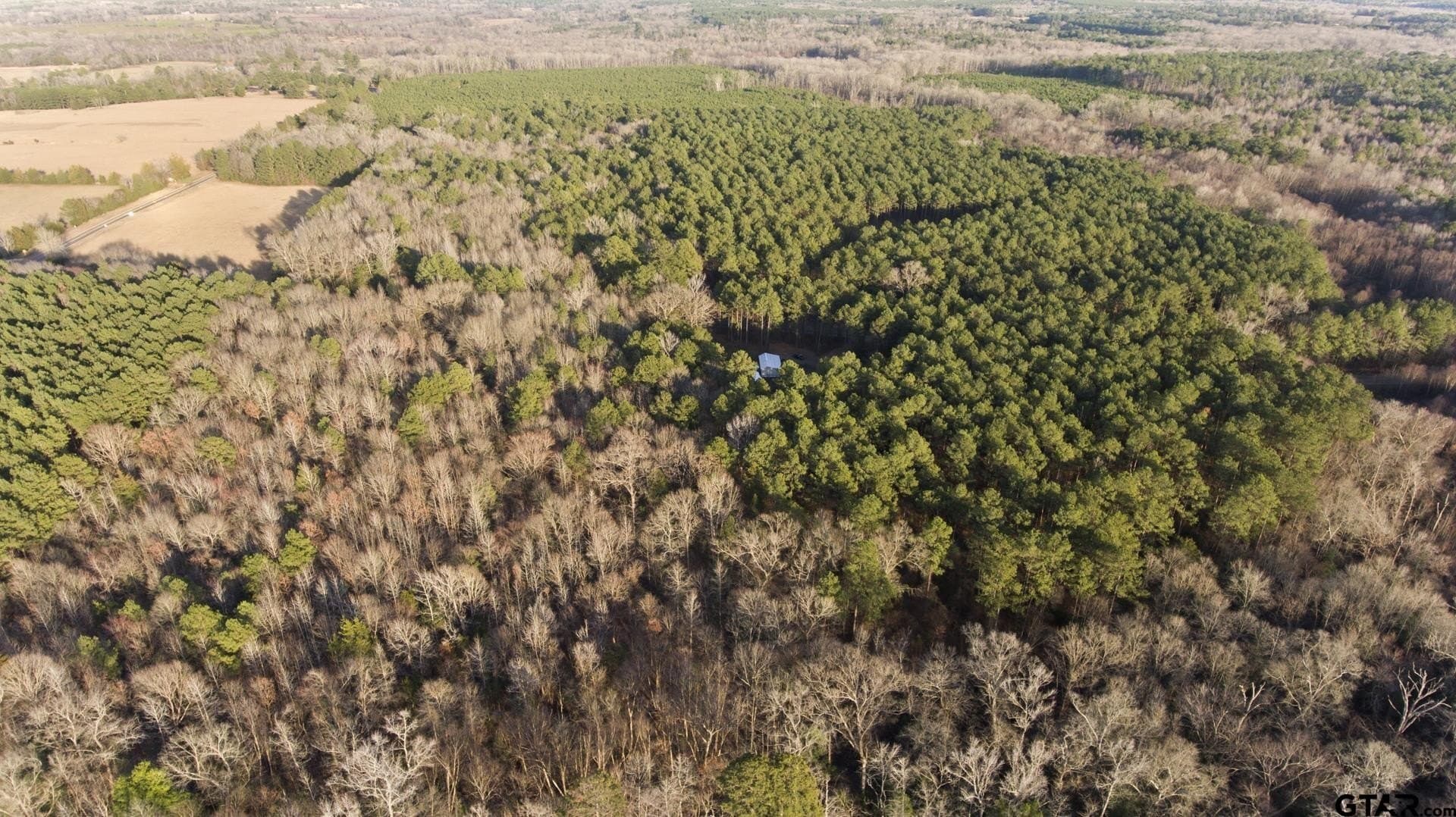 10.16 acres in Cass County - photo 11