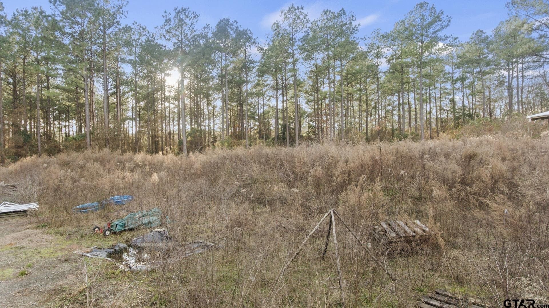 10.16 acres in Cass County - photo 6