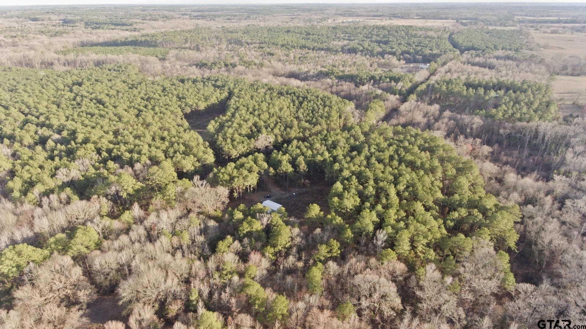 10.16 acres in Cass County - photo 10