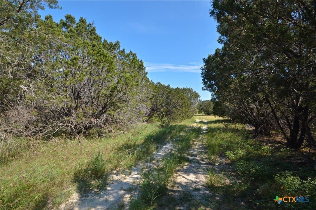 51.7 acres in Lampasas County - photo 11