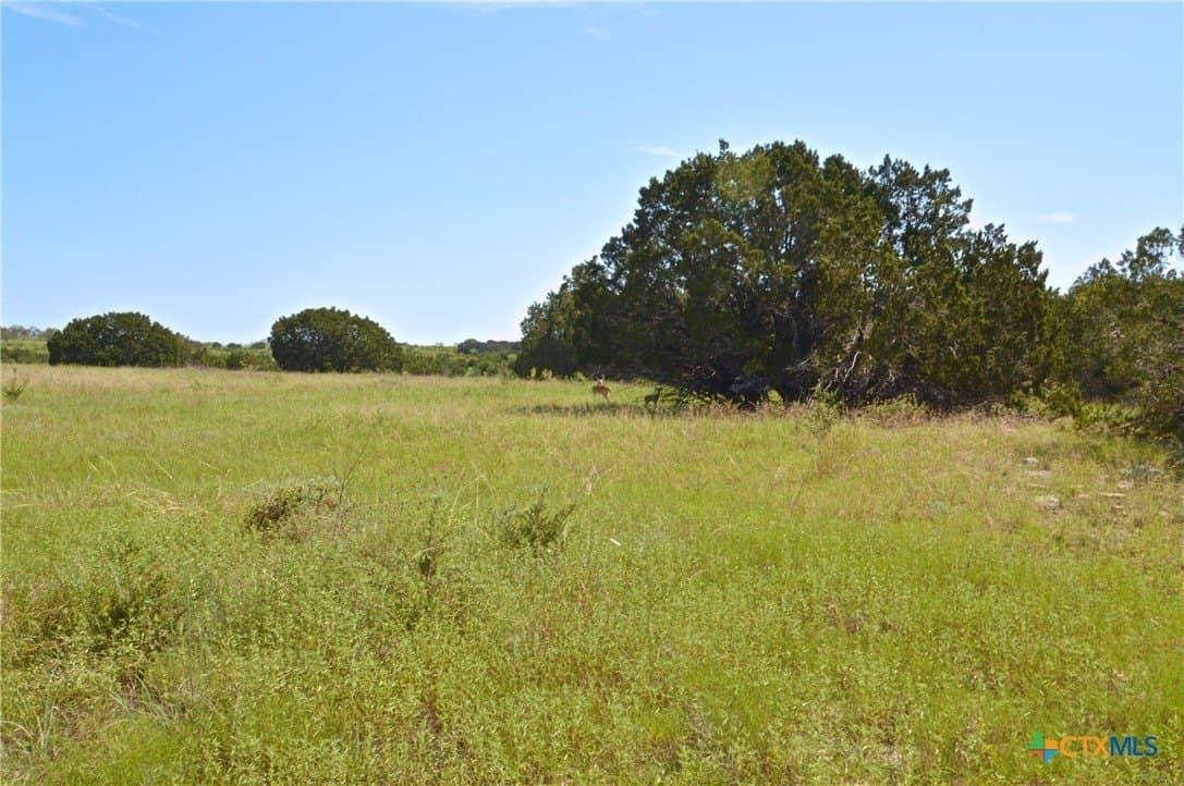 51.7 acres in Lampasas County - photo 23