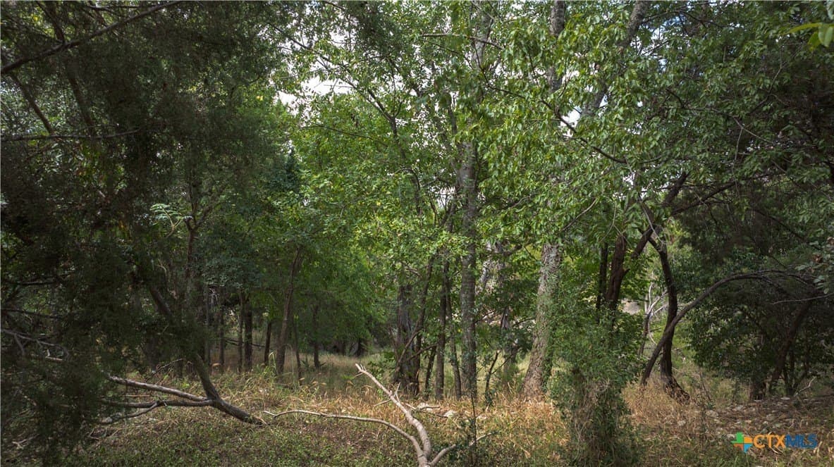 0.64 acres in Bell County - photo 6