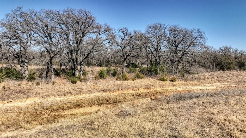 29.19 acres in Wise County - photo 9
