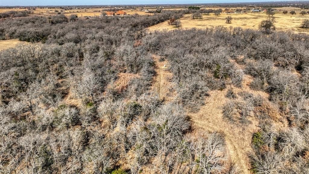 29.19 acres in Wise County - photo 11