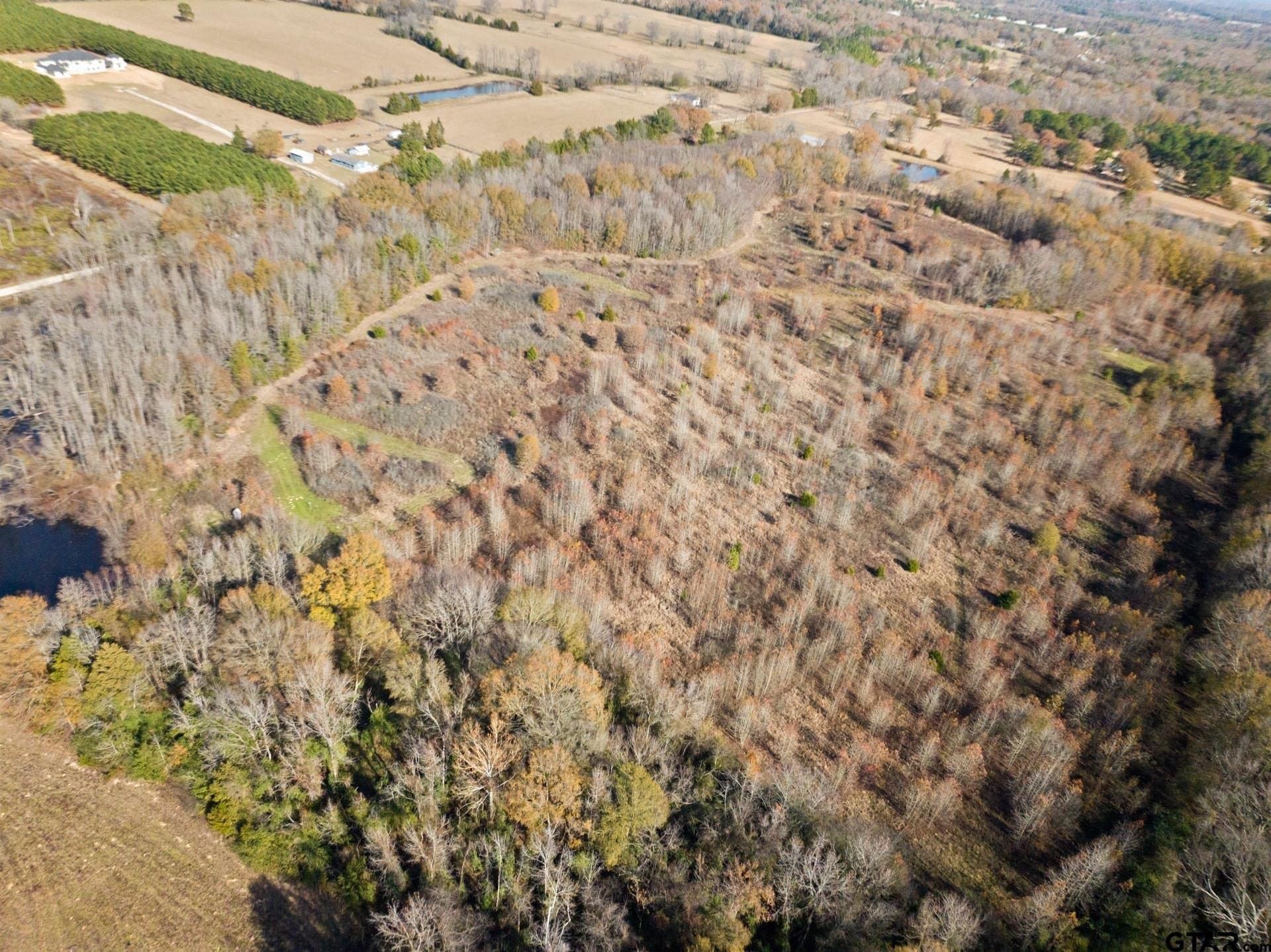 51 acres in Camp County - photo 15