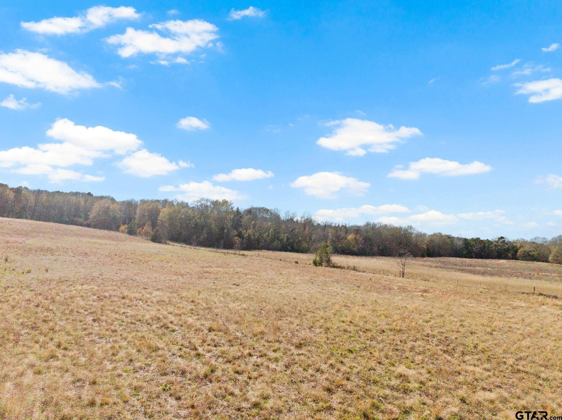 51 acres in Camp County - photo 11