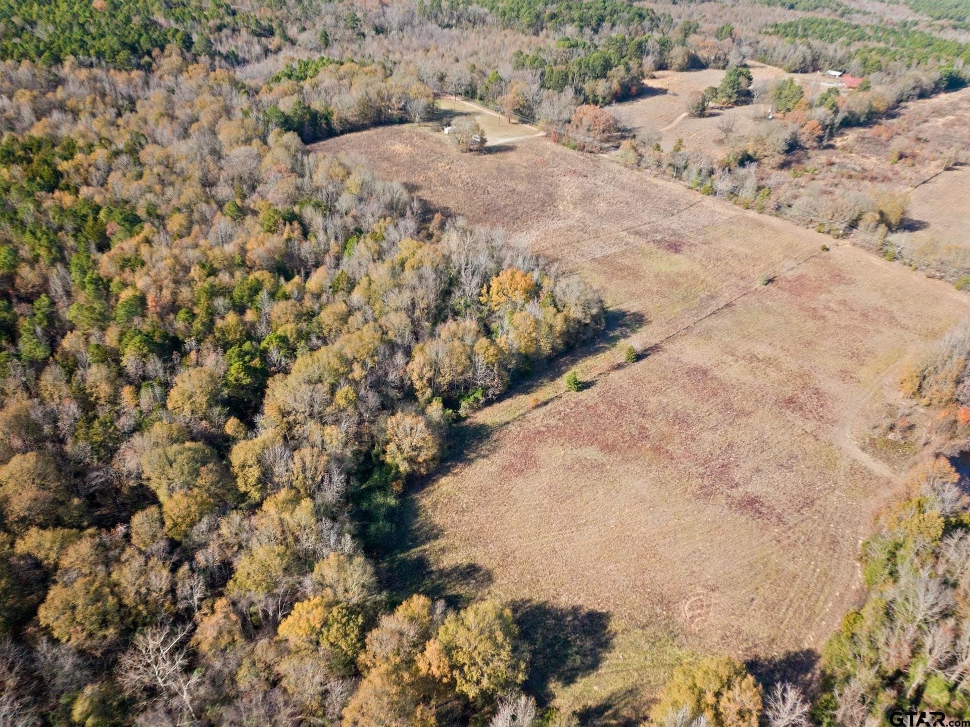 51 acres in Camp County - photo 16