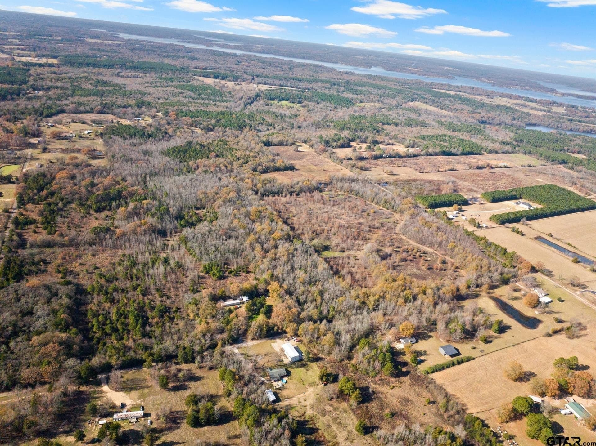 51 acres in Camp County - photo 3