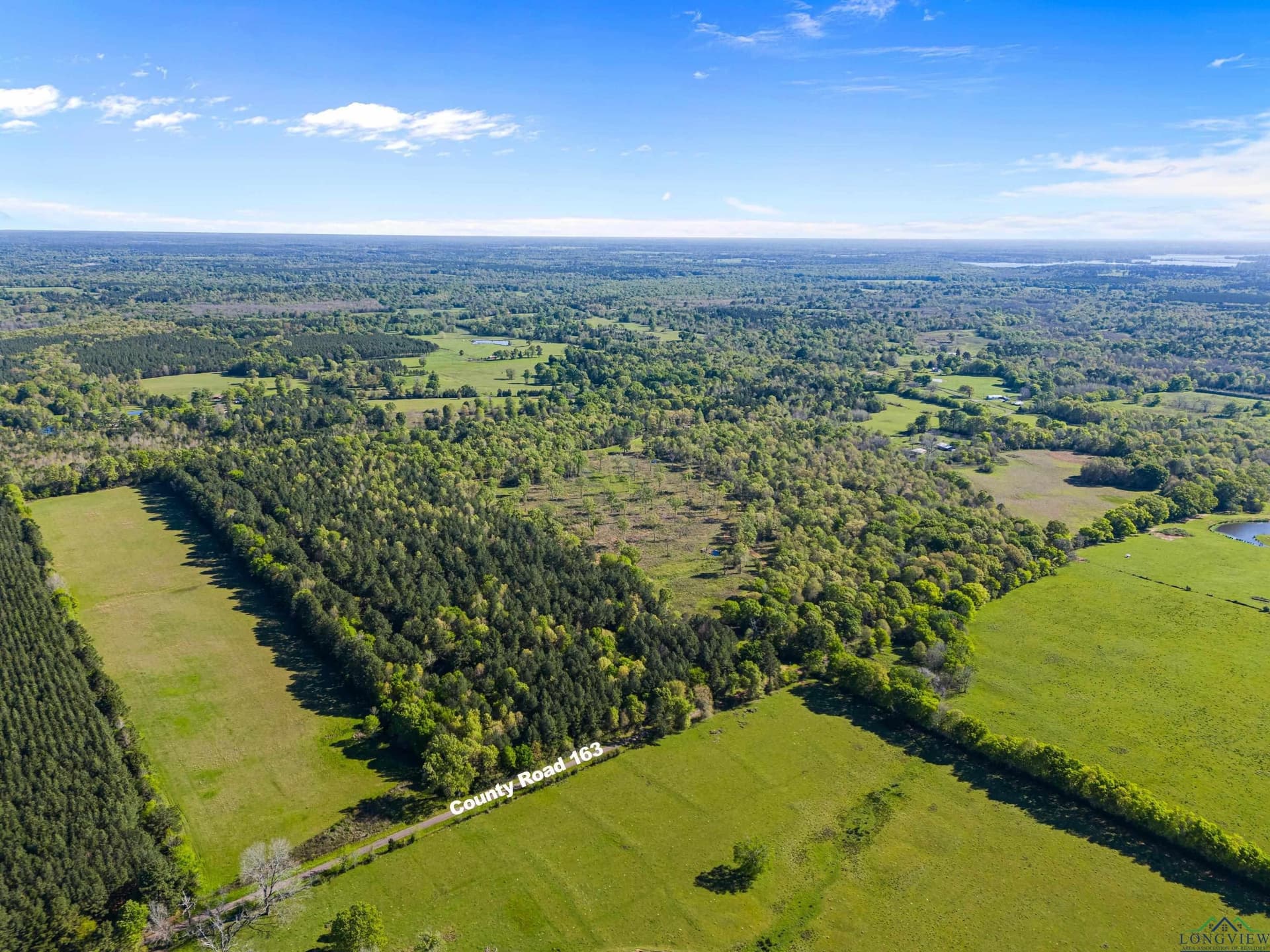 53.92 acres in Panola County - photo 2