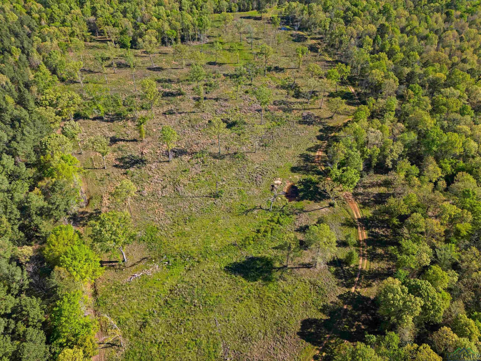 53.92 acres in Panola County - photo 29
