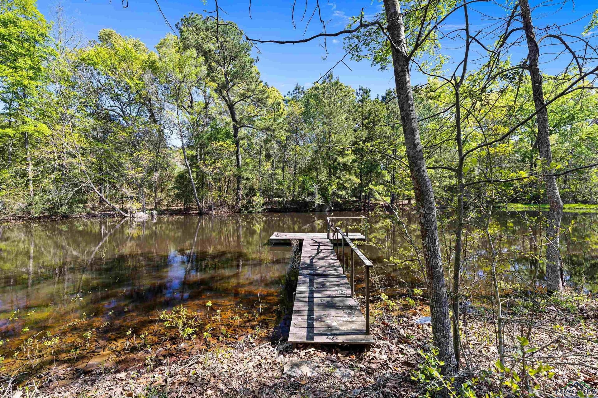 53.92 acres in Panola County - photo 28