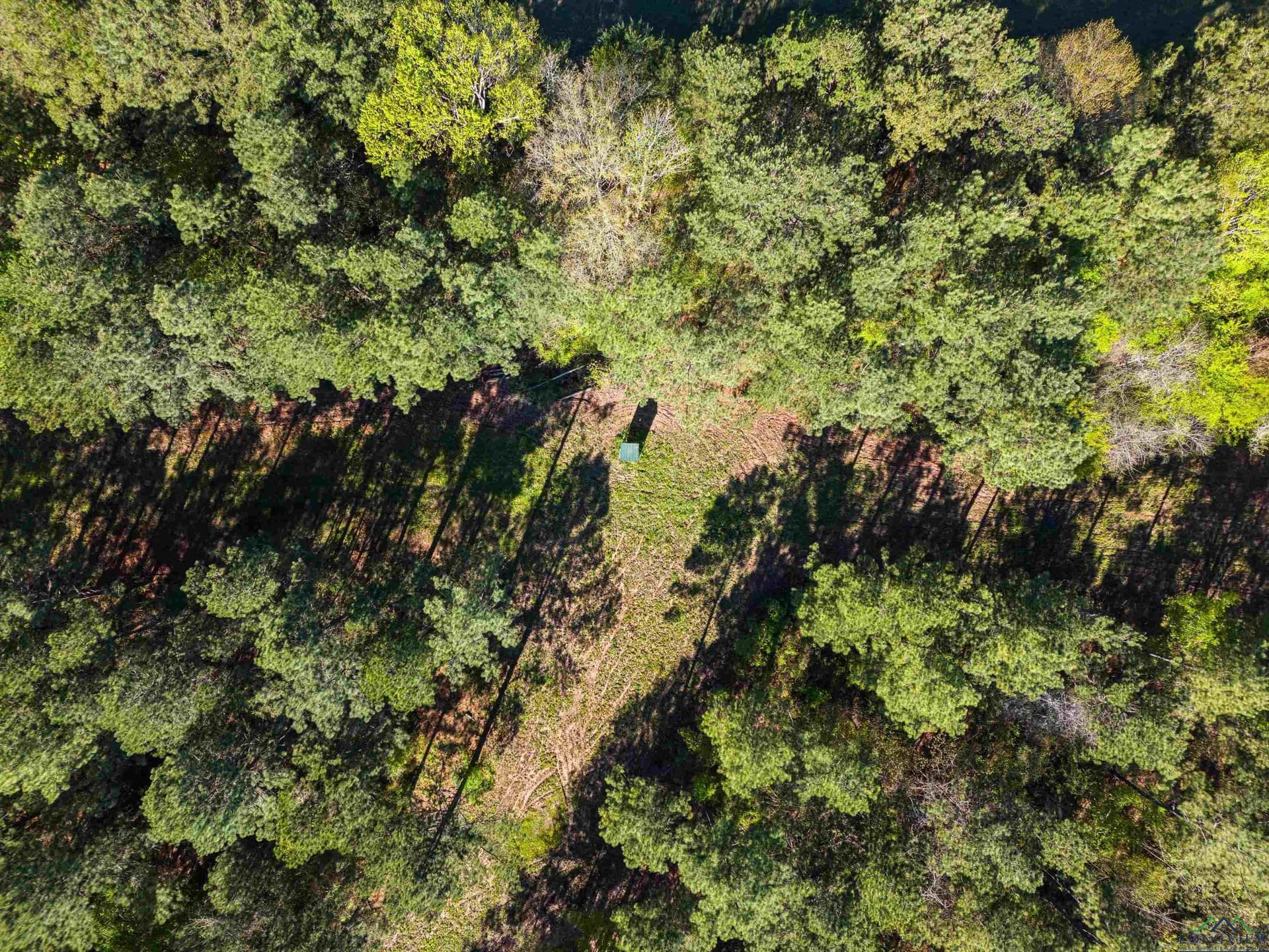 53.92 acres in Panola County - photo 11