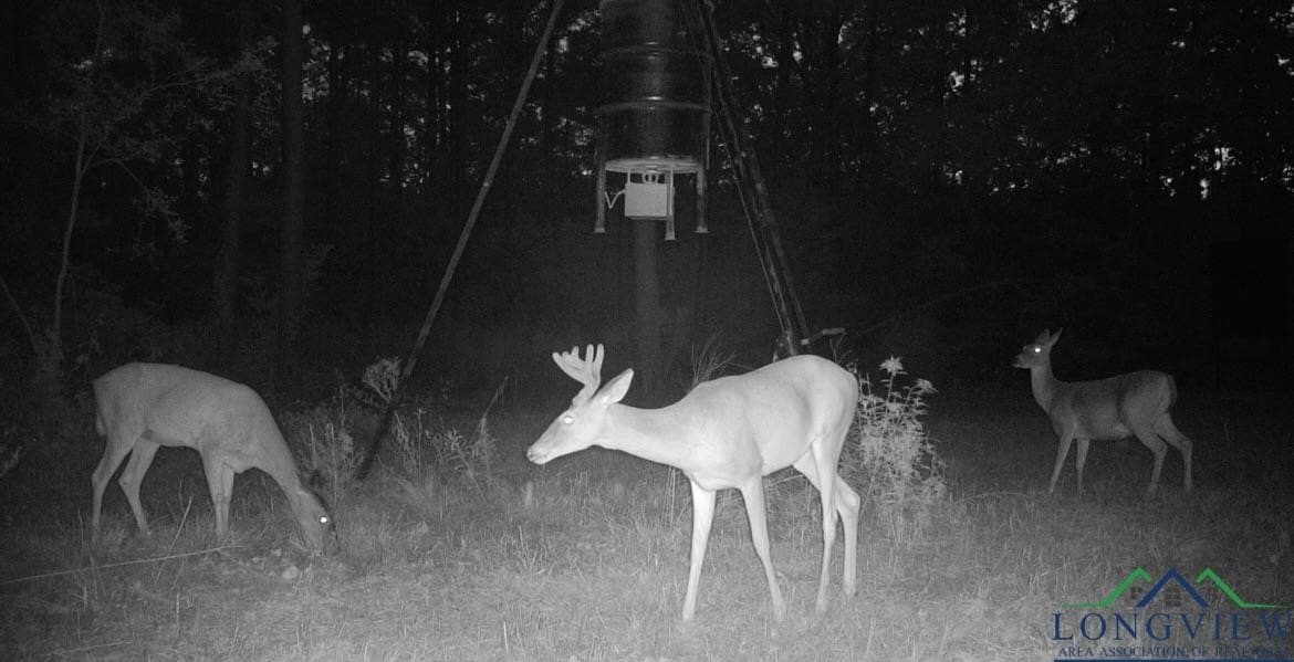 53.92 acres in Panola County - photo 25