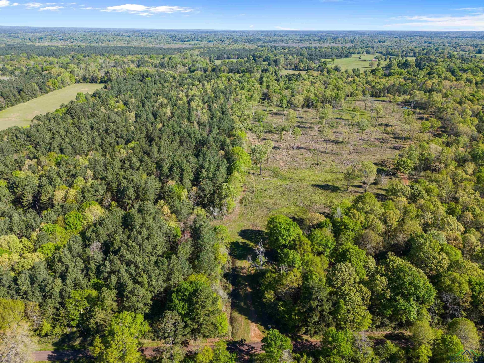 53.92 acres in Panola County - photo 21