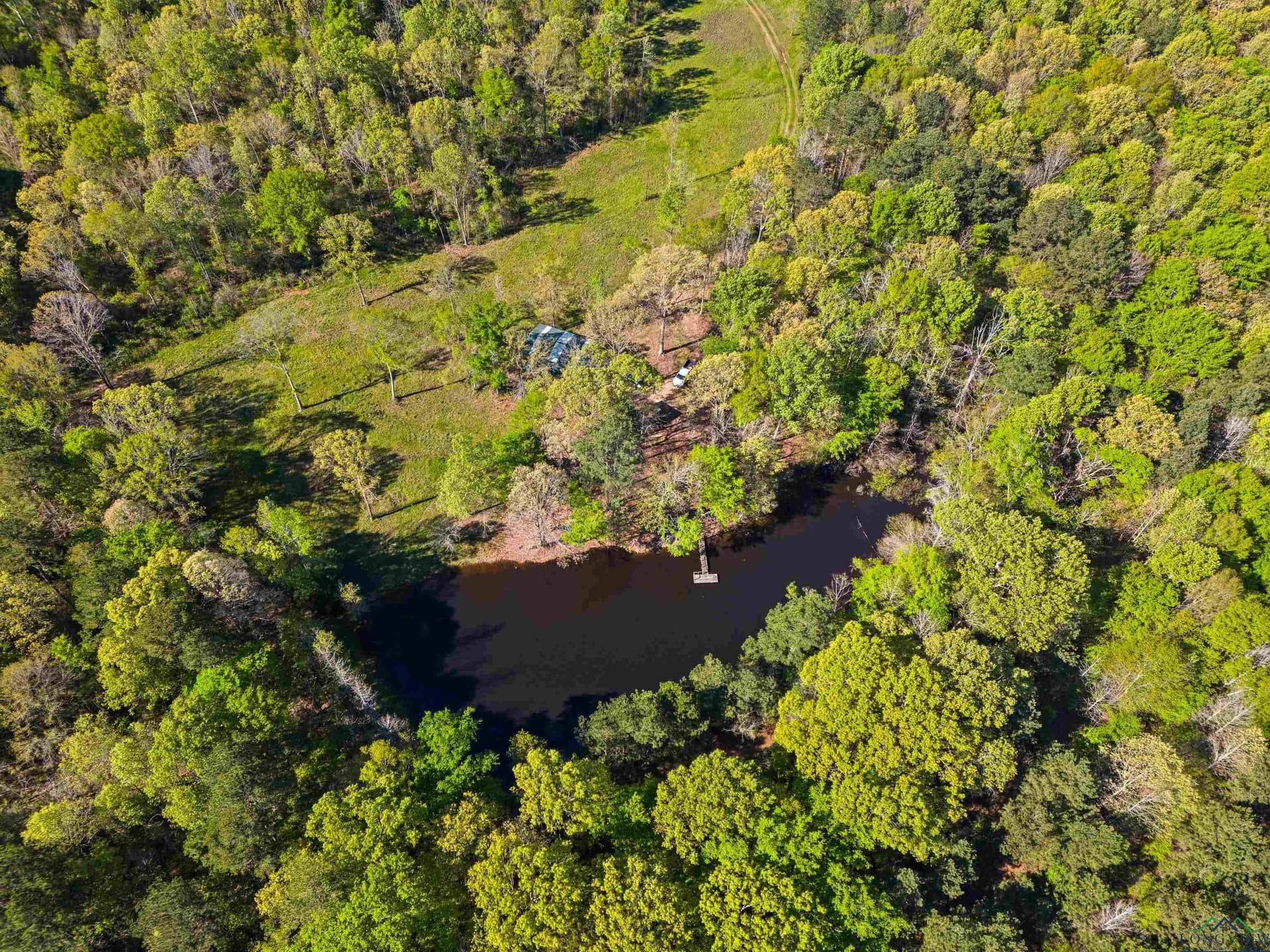 53.92 acres in Panola County - photo 5