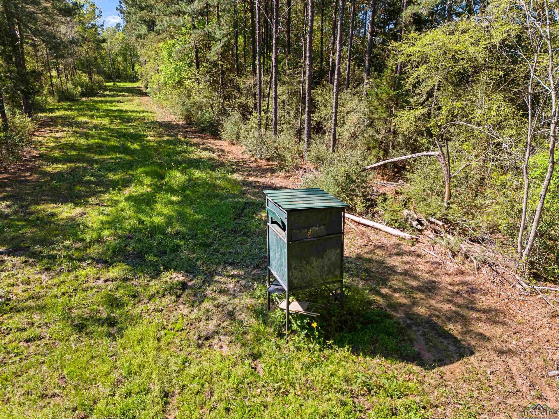 53.92 acres in Panola County - photo 10