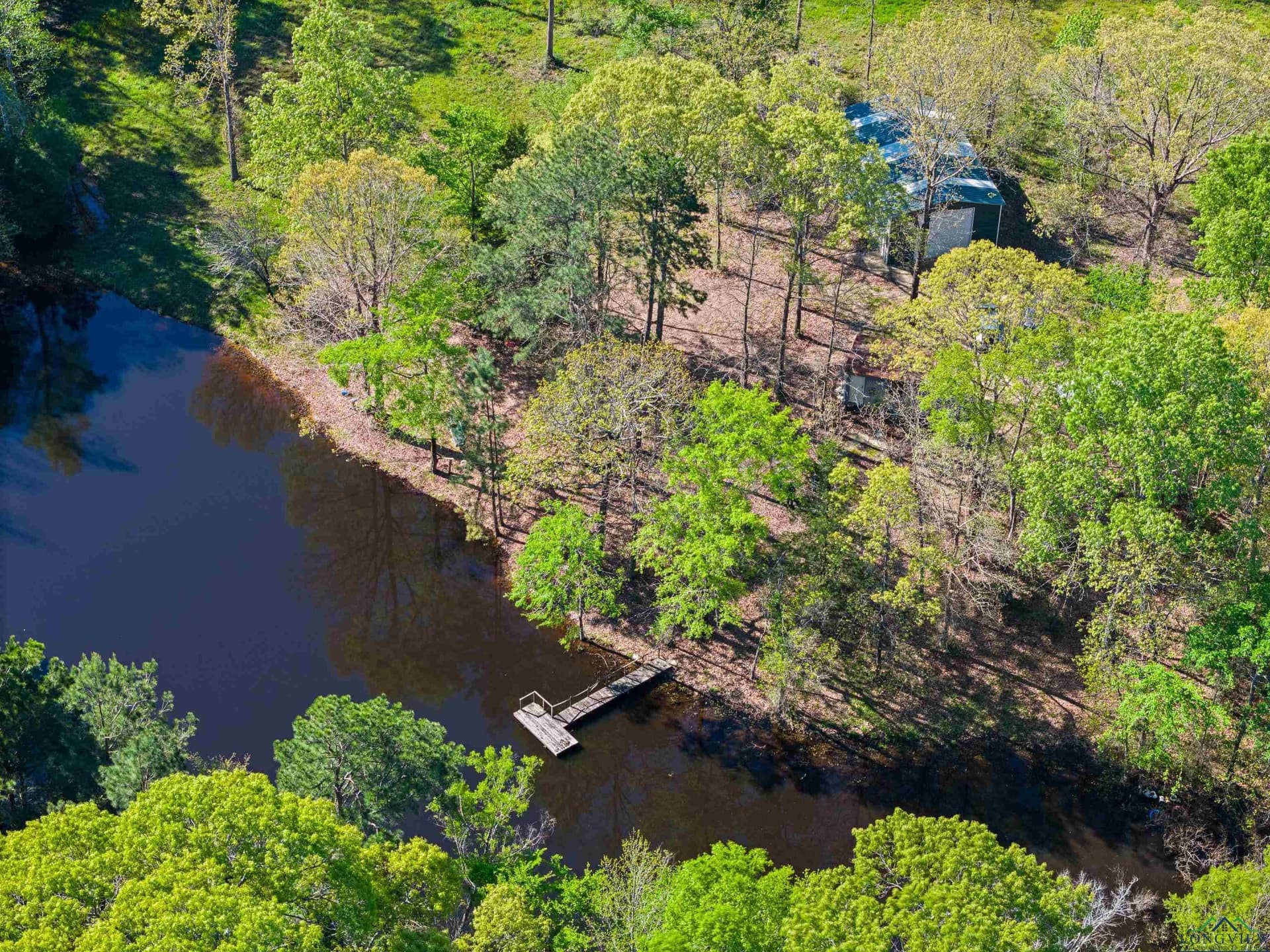 53.92 acres in Panola County - photo 13