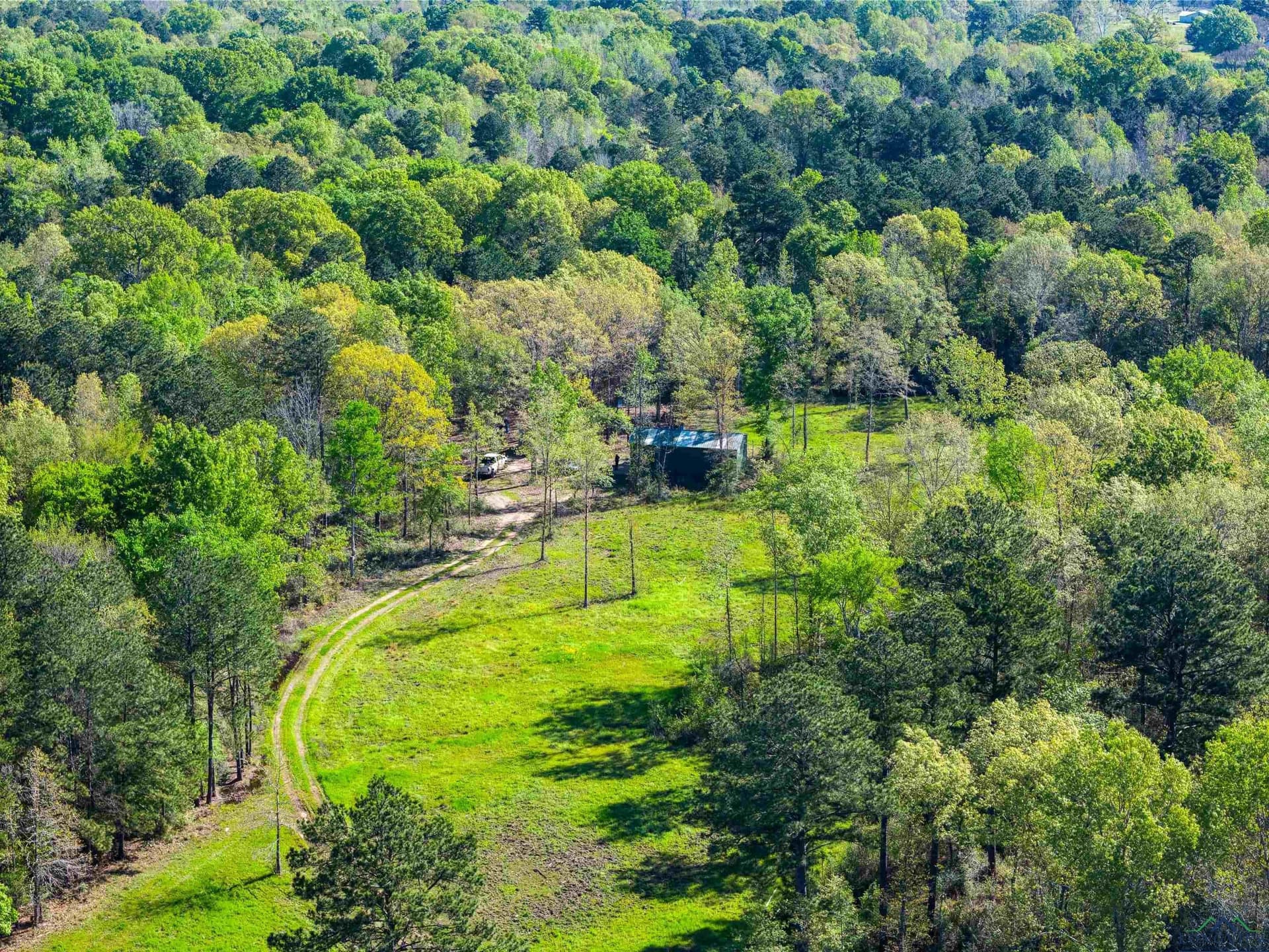 53.92 acres in Panola County - photo 3