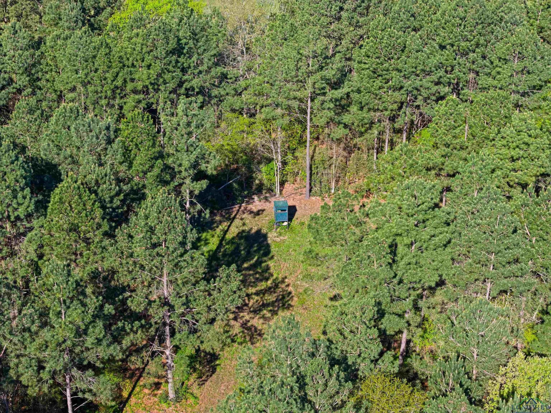 53.92 acres in Panola County - photo 22