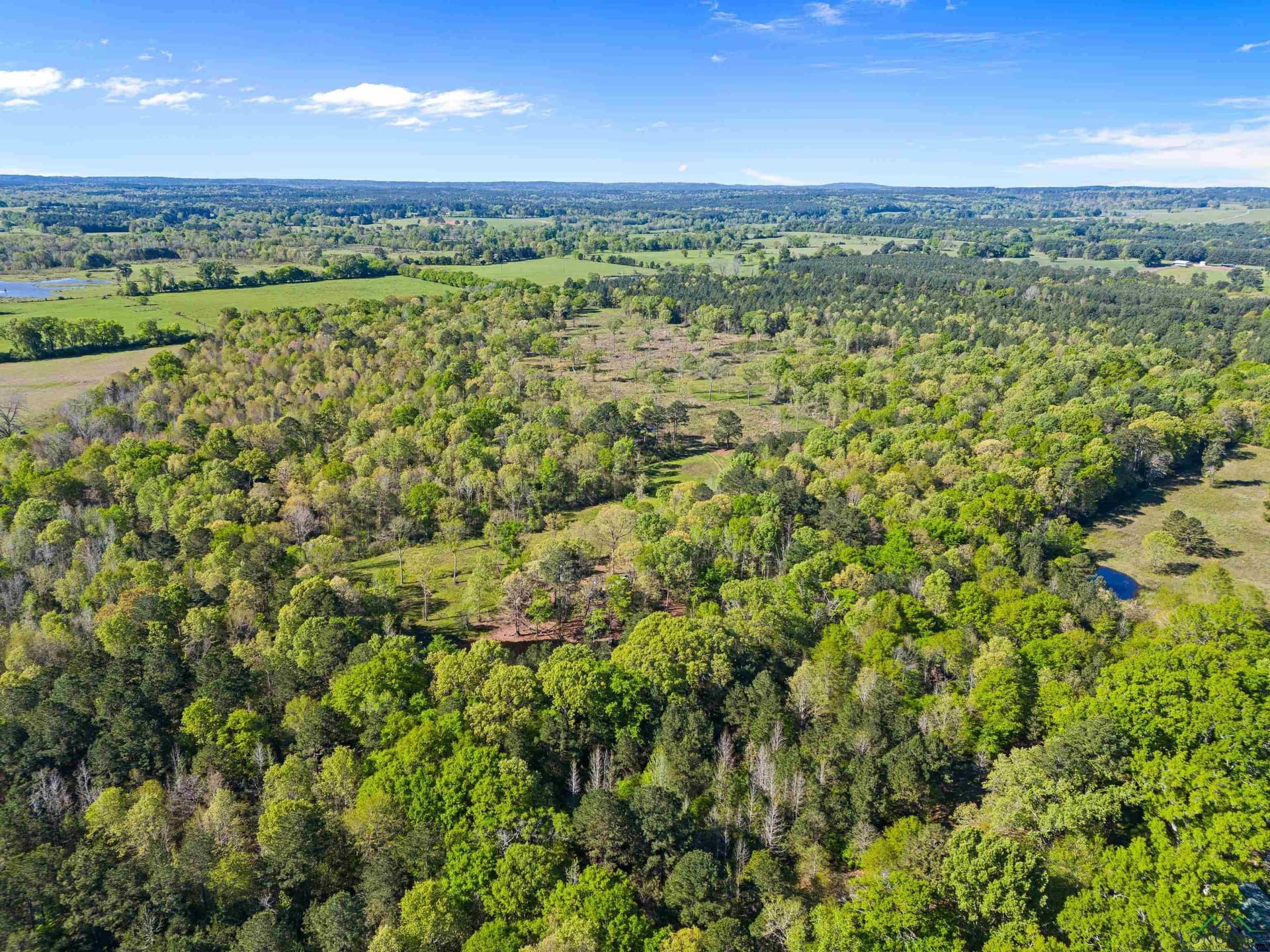 53.92 acres in Panola County - photo 19